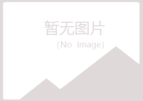 安图县雅山快递有限公司